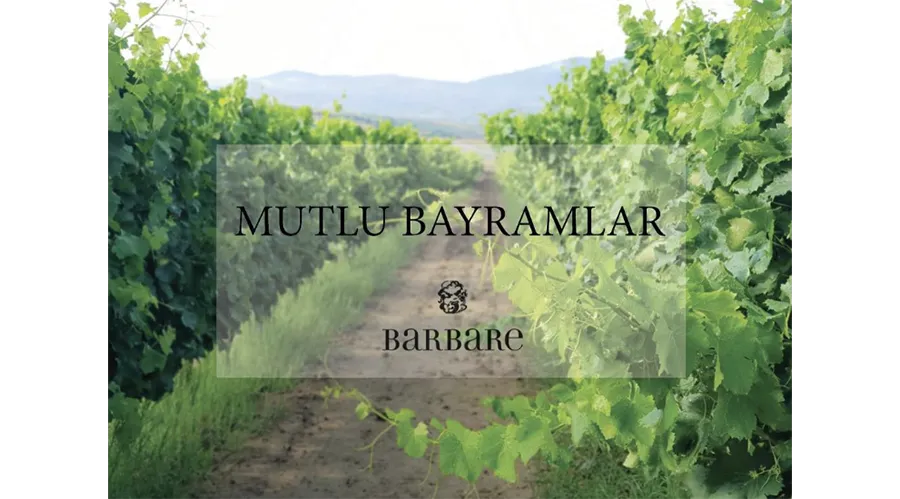 Barbare Vineyards